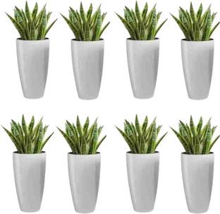Muddstyles Plastic Tower Pot 8.5 inch Flower Pot for Home office Garden Balcony Plant Container Set