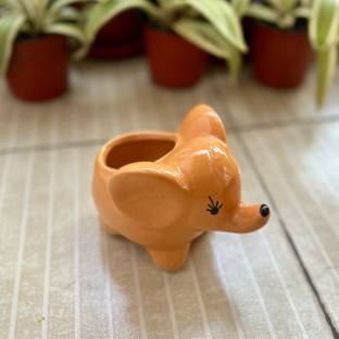 Gachera Gachera Cute Small Ceramic Elephant Planter | Best for Desk, Gifting & Garden Plant Container Set