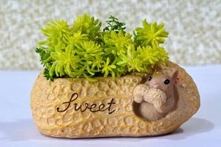 Vikarafty Handcrafted Peanut Shell with Squirrel Shape Succulent Pot Mini Flower Pot Home Plant Container Set