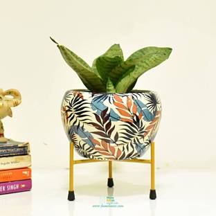 IMMUTABLE Plant Container Set