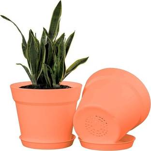 MOOZICO 5 Pack Flower Pots Outdoor Indoor Planters with Drainage Hole and Tray Saucer Plastic Vase