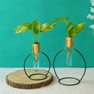 TIED RIBBONS Set of 2 Test Tube Glass Planter with Metal Holder for Wall Hanging Table Top Money Plant Vase Home Office Café Indoor Outdoor Wedding Birthday Decoration Items Plant Container Set