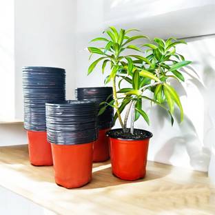 SaplingsWorld Thermo Plastic Flower Pot | 5 inch size | Plant Container Set