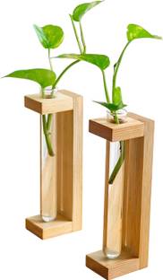 Ojha Crafts Test Tube Planter Pine Wood Station Desk Planter for Living Room Home Décor Plant Container Set