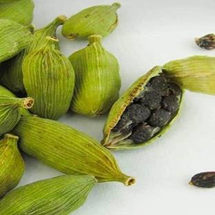 Cloud Farm Elaichi/Cardamom Plant