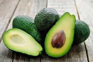 Evergreen Avocado Plant