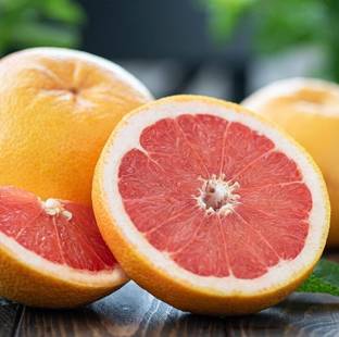 Dien grapefruit Plant Lemon Plant