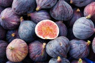 Plant Paradise Gular/Cluster Fig Plant