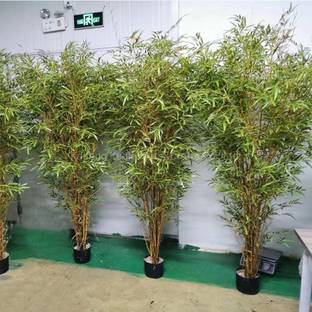 Cloud Farm Two Layer Bamboo Plant