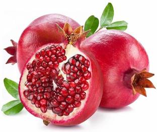 Cloud Farm Pomegranate Plant
