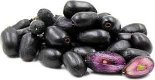 Jambul Jamun Plant