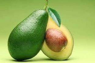 EliteGreen Avocado Plant