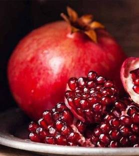 FURYHUB Pomegranate Plant