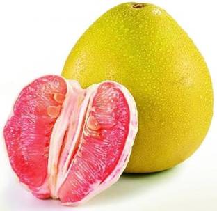 Cloud Farm Pomelo Plant