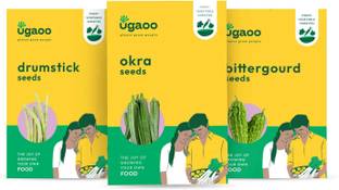 UGAOO Vegetable Seeds Combo Of Bittergourd (Green Long), Drumstick (Moringa), Okra Seed