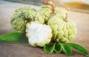 MAA Custard Apple, sitafal, sitaphal Seed