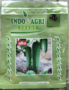 Vinayak 1pouch Indo agri desi Kheera, Desi kheera Seed