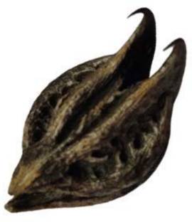 CHILLATAI Garuda Mukku / Bat Head Roots Seed