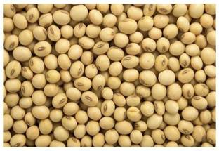 Rudra soyabean seeds Seed