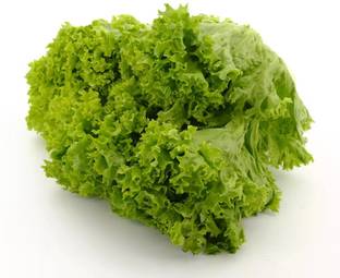 VIATION HIGH QUALITY Lettuce Seed