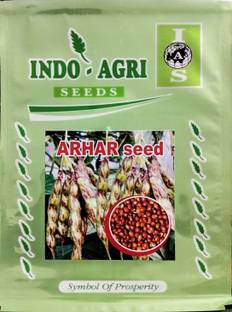 HYBRID 100g, tur/arhar /red gram seed highest yield variety early fruiting Seed