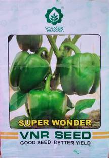 Arshiayat Vnr Super Wonder Capsicum Seed