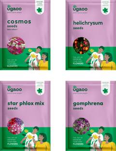 UGAOO Flower Seeds - Cosmos Mix , Helichrysum, Star Phlox Mix Seeds, Gomphrena Seeds Seed