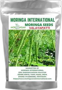 MORINGA INTERNATIONAL VALAYAPATTI MORINGA SEEDS Seed