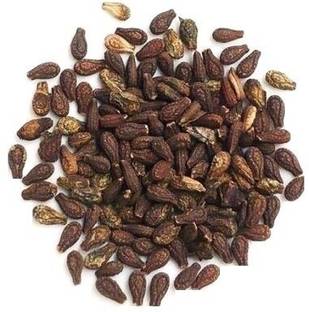 ORGANIC HERBS SHIVLINGI Seed