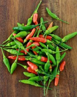 DROXTY ® XX-349-African Bird Eye Chilli Hot Thai Pepper or Kanthari Mulaku Seed
