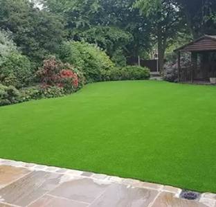 wequality best lawn grass seeds for garden Seed