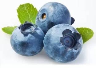 Aro Blueberry, Blueberries Seed