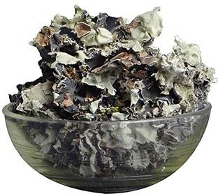 Ajay Spices Flower Spice|Pathar Phool|Dagad Phool|Chhabila|Kalpasi Spice|Permalia Seed