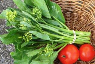VibeX ® RXI-436 Chinese Broccoli Seeds,Kai LAN,GAI LAN Seed
