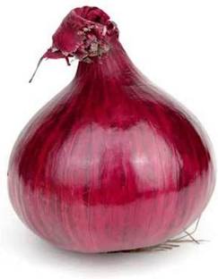 WILLVINE ATS-46 Red Grano Onion Seeds-3000 Seeds Seed