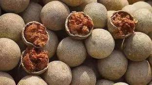 Chalisa Wood apple, Bel fruit, Kaitha, Katbel, Beal Fruit Seed