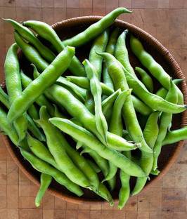 WILLVINE Vegetable Fava Beans(बाकला की फली) seeds For Home & Gardening Winter (250 Seeds) Seed