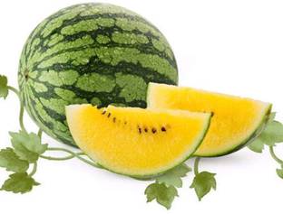 CYBEXIS Large Yellow Watermelon Seeds -50 Seeds Seed