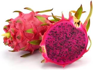 wequality Hybrid Dragon fruit seeds/Dragon fruit seed 22 Seed