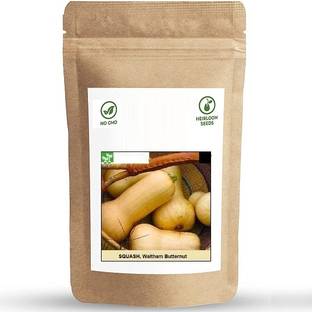 Biosnyg Waltham Butternut Squash Seed