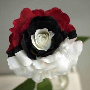 CRGO ROSE , GULAAB Seed