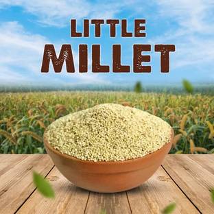 VINAYAK HERBALS VINAYAK HERBAL_LITTLE MILLET_ Kutki (Hindi), Chama (Malayalam), Suan (Oriya). Seed