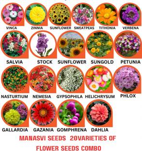 manasviseeds Combo of 20 Variety 1000+ Flower Seeds Combo Pack Seed