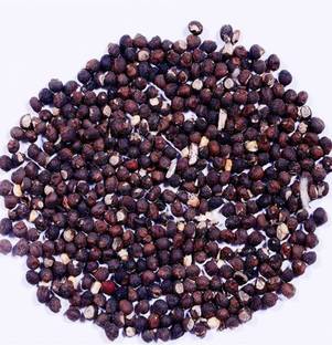 Garden Craft Semal Seed, Silk Cotton Tree Seed, Bombax Ceiba Seed Seed