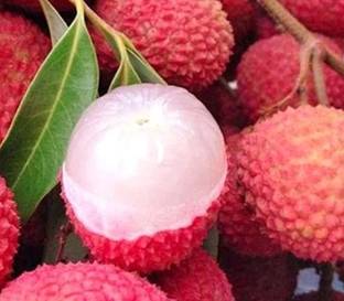 Aro Litchi, Lichi, Lychee Seed