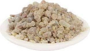 Natures Yard GOND KONDRU - GOND KUNDRU - SHALLAKI GUM - BOSWELLIA SERRATA Seed