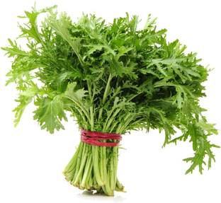 Qualtivate XXX-4A Mizuna (Heirloom Japanese Mustard Greens) Seed