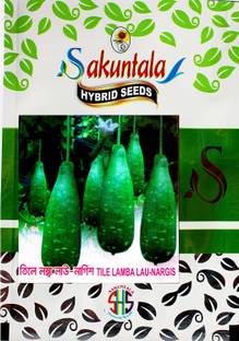 WILLVINE Bottle Gourd Seeds Desi Loki Green Lauki-(50 Gms, 250 Seeds) Seed