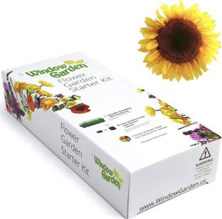 VibeX ® XXL-344 Mammoth Giant Sunflower Seeds Seed