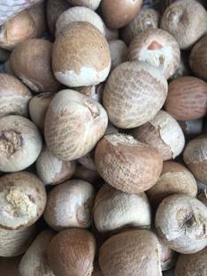 chengara Supari, Areca Nut, Betel Nut, Pakku Seed